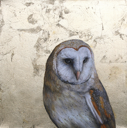 SOLD Spirit of the Night - Louise McNaught