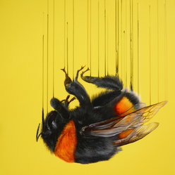 SOLD Last of the Alchemists by Louise McNaught